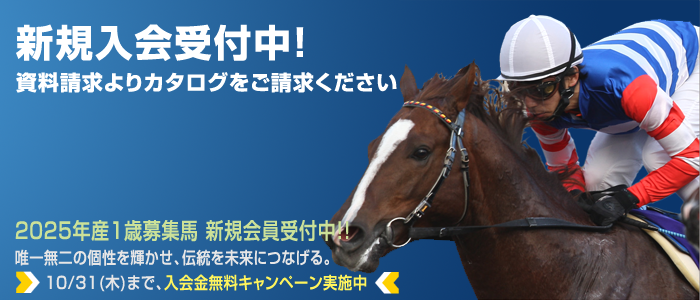 トップ画面イメージ